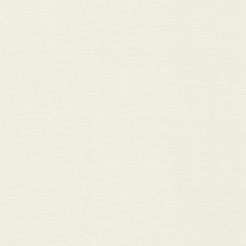 Rasch Natural Colors 408249