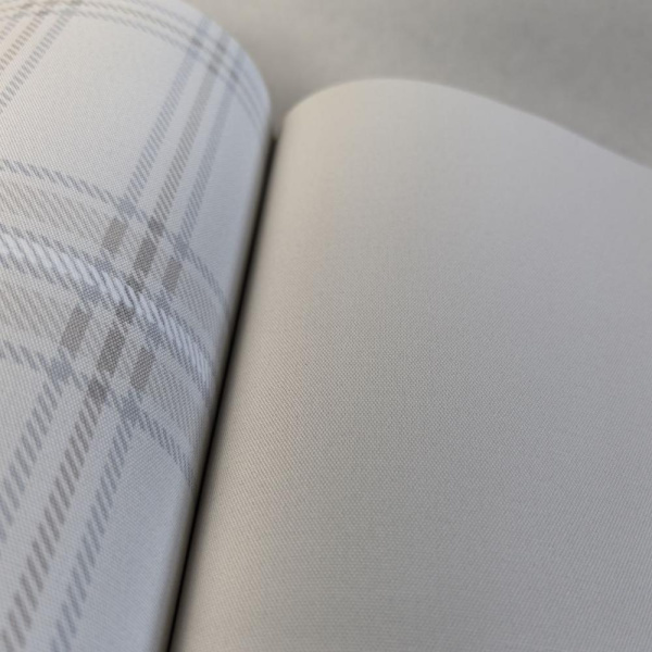 Andrea Rossi Cavolli 54416-1