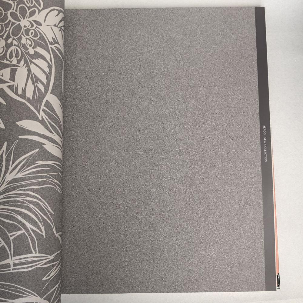 Andrea Rossi Berggi 54445-5