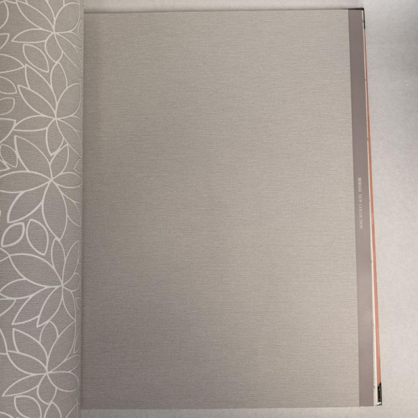 Andrea Rossi Berggi 54443-5