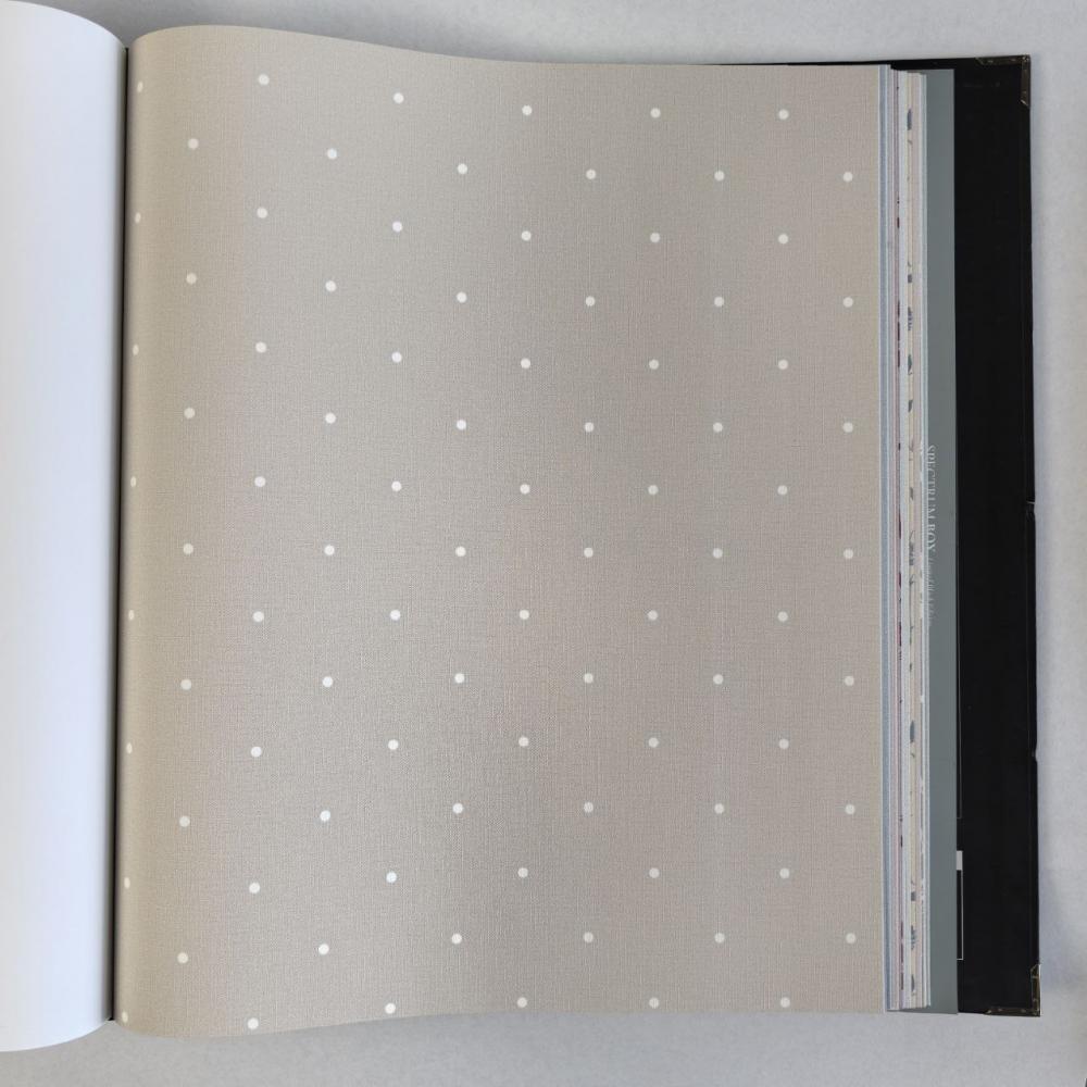 Andrea Rossi Spectrum Box 54454-3