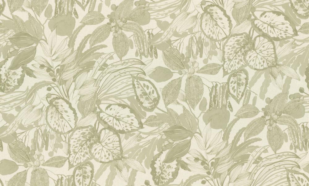 Rasch Novella 983036