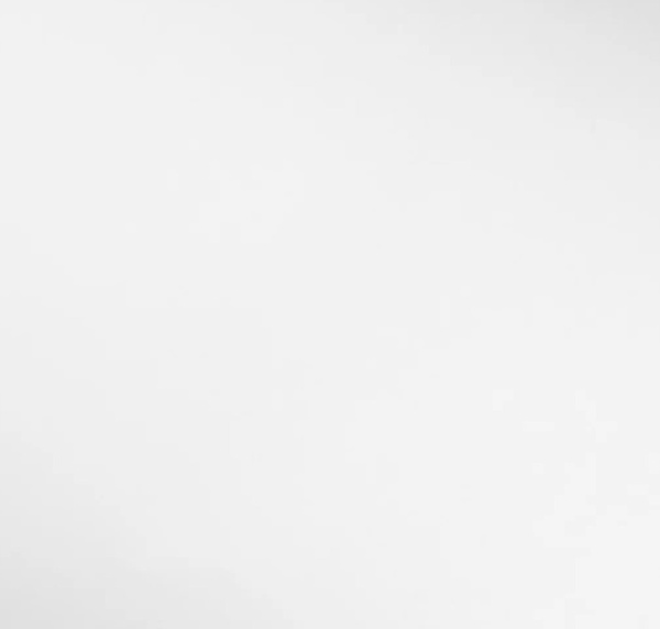 Milassa флизелин «Milassa» STR19 110