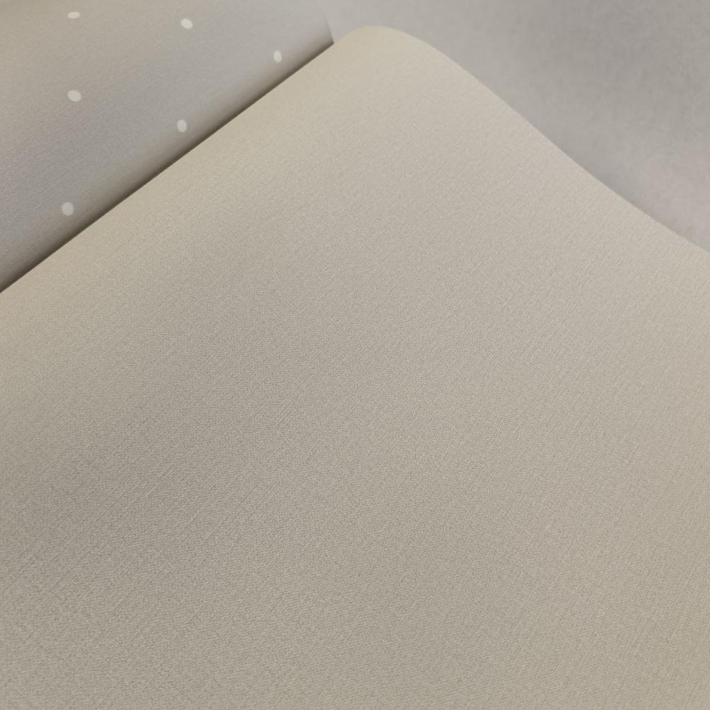 Andrea Rossi Spectrum Box 54455-2