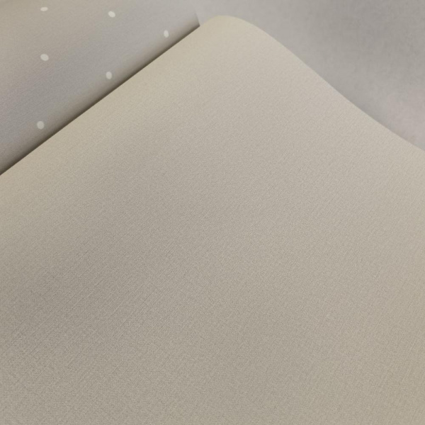 Andrea Rossi Spectrum Box 54455-2