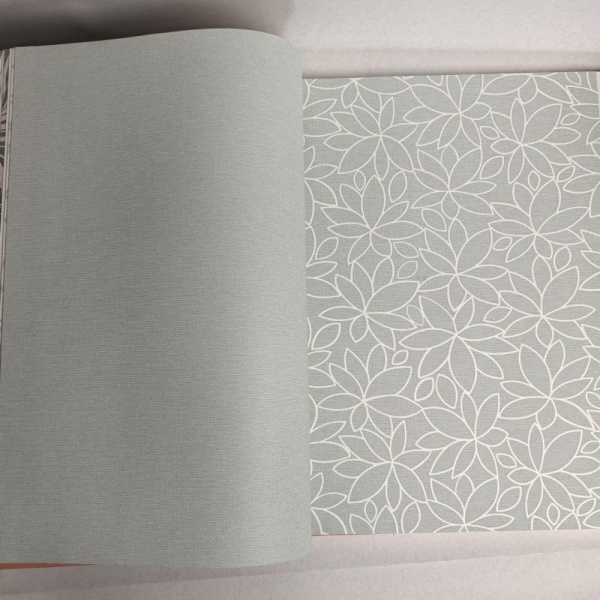 Andrea Rossi Berggi 54444-5