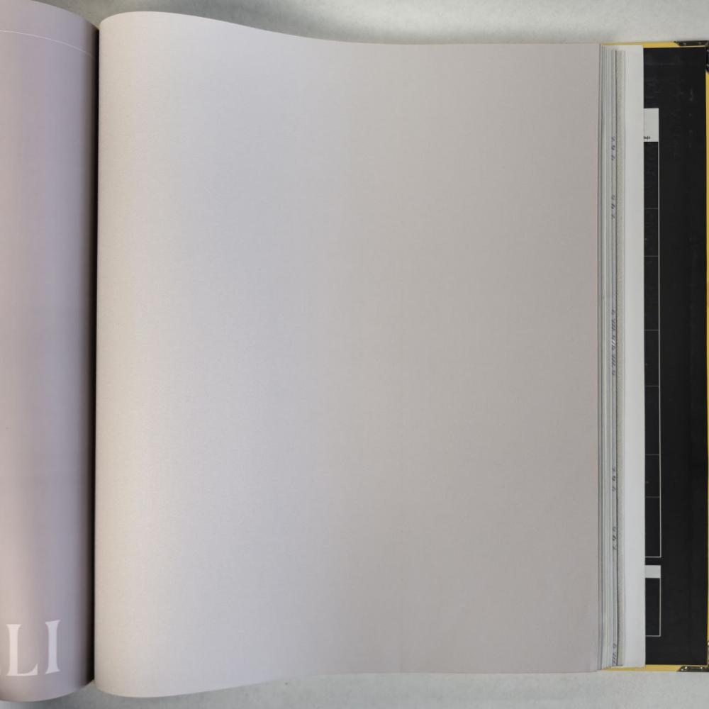 Andrea Rossi Cavolli 54418-8 Andrea Rossi Cavolli 54418-8