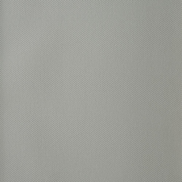 Andrea Rossi Palmaria 54469-3