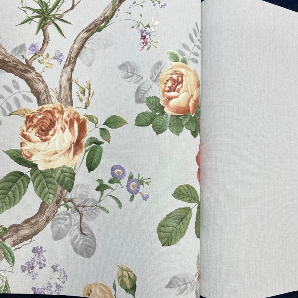 Andrea Rossi Cavolli 54421-7