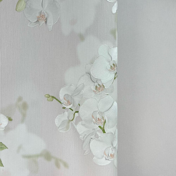 Andrea Rossi Stromboli 54342-2