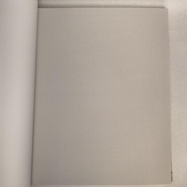 Andrea Rossi Berggi 54448-3