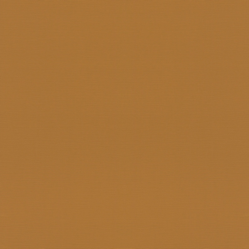 Rasch Natural Colors 688054