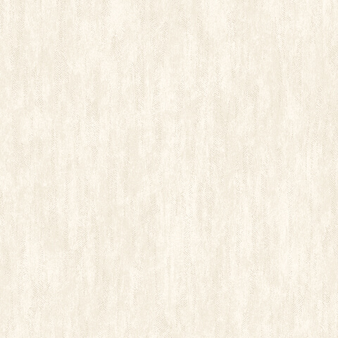 Andrea Rossi Barbana 54289-3