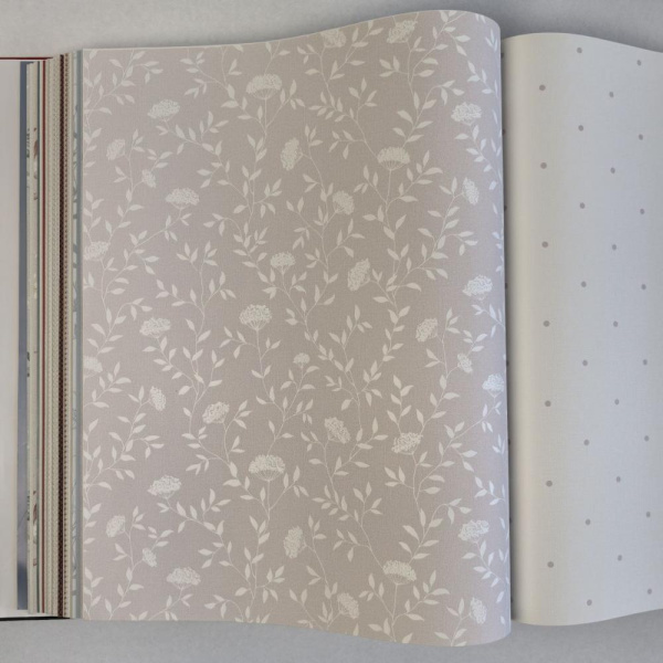 Andrea Rossi Spectrum Box 54456-9