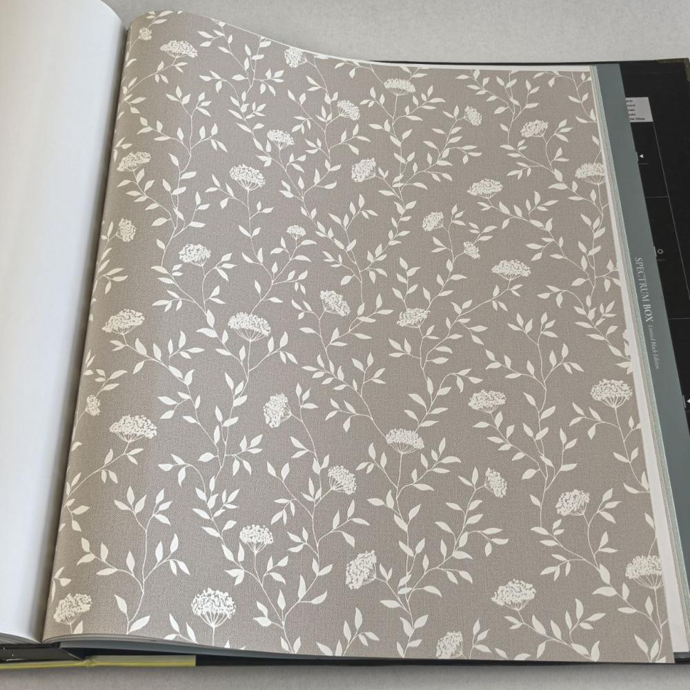 Andrea Rossi Spectrum Box 54456-3