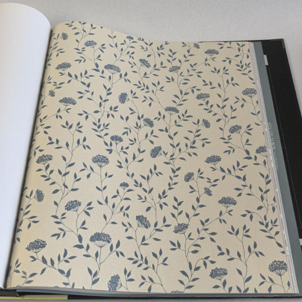 Andrea Rossi Spectrum Box 54456-11