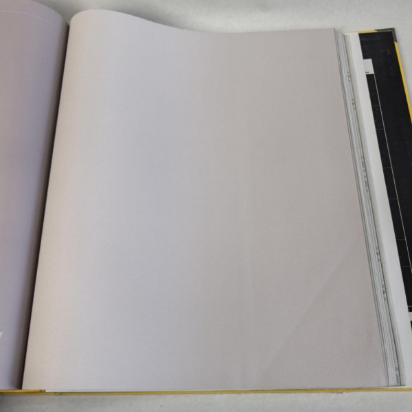 Andrea Rossi Cavolli 54418-8 Andrea Rossi Cavolli 54418-8