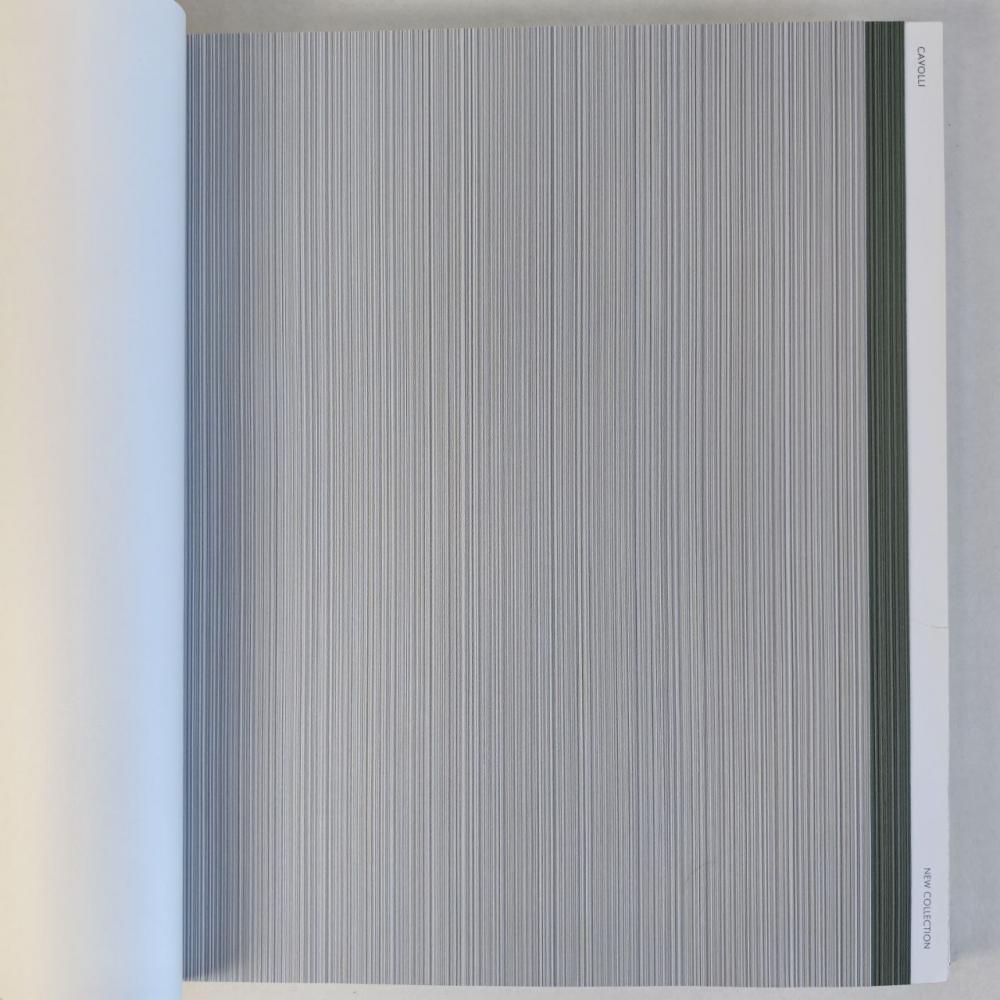 Andrea Rossi Cavolli 54425-7