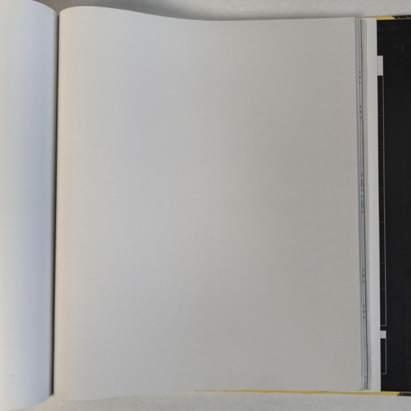 Andrea Rossi Cavolli 54416-3